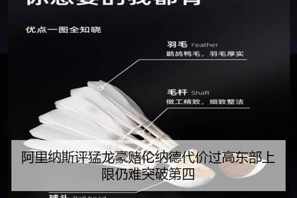 阿里纳斯评猛龙豪赌伦纳德代价过高东部上限仍难突破第四